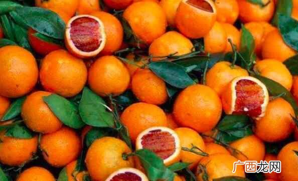 血橙是什么季节的