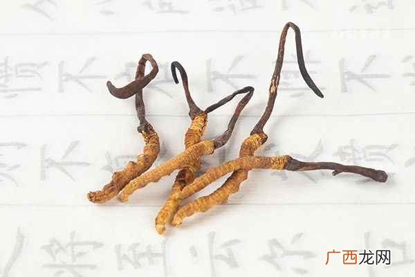 冬虫夏草怎么吃效果最好