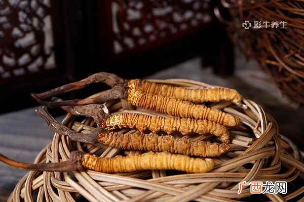冬虫夏草怎么吃效果最好