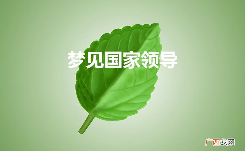 女人梦见国家最高首领 梦见国家领导