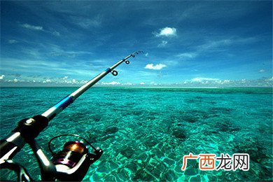 选对品牌才能钓到大鱼 钓鱼线什么牌子的质量好口碑佳