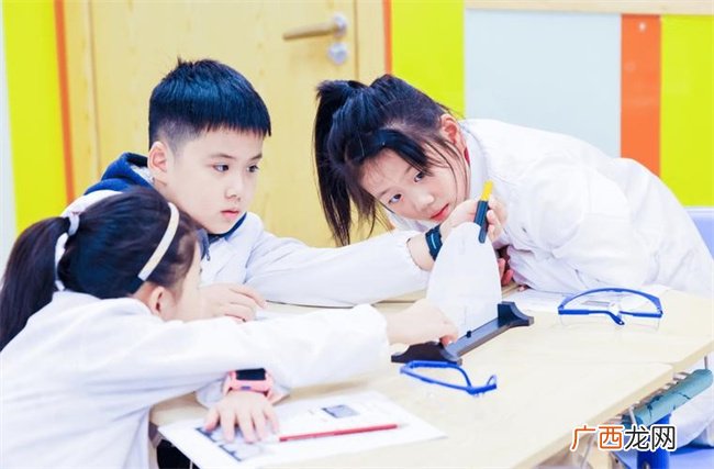 如何培养孩子的团队协作能力