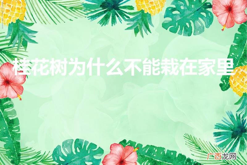 桂树为什么不能种在家里 桂花树为什么不能栽在家里