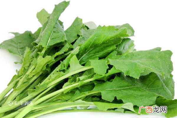 补钙吃什么食物最好最快