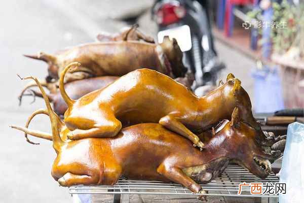 肾虚吃什么东西补得快