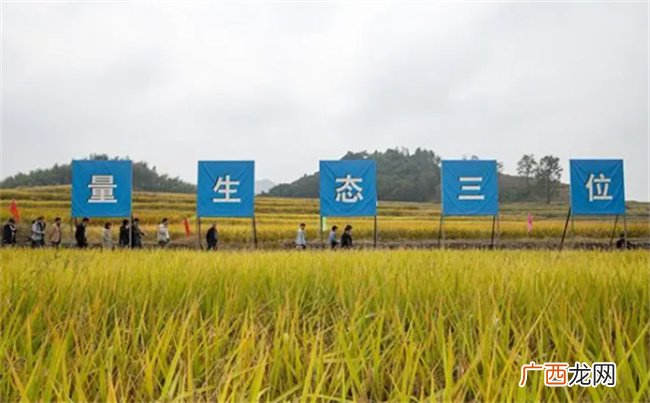 ?三农指的是什么 三农工作是哪些