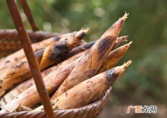 竹笋如何去除苦涩味