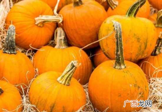 南瓜可不可以和胡萝卜一起吃 南瓜和胡萝卜可以一起吃吗