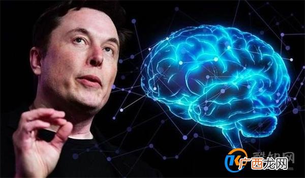 马斯克的“脑机”到底是干什么的 用途有哪些