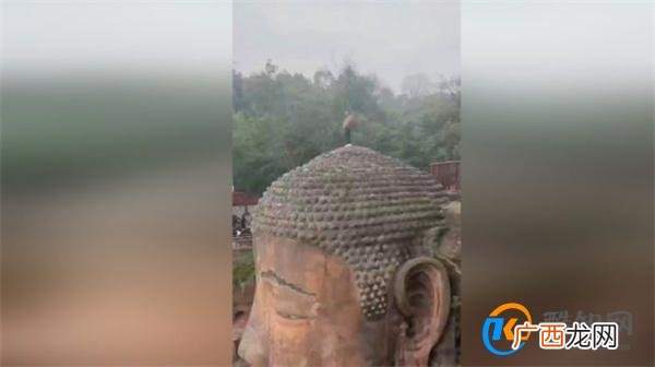 男子爬上乐山大佛头顶小便 景区问题如何有效制止