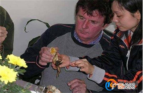 比利时设陷阱诱捕300万只大闸蟹 诱捕的方式是什么