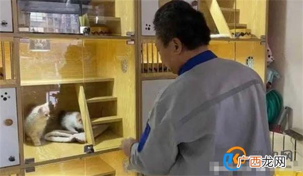 春节前宠物寄养“一窝难求” 春节宠物寄养价格飙升