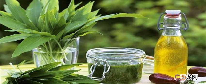 橄榄油跟菜子油的区别是什么