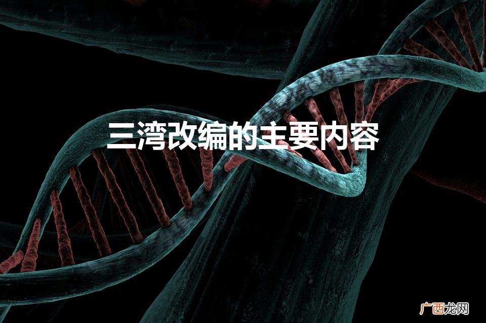 三湾改编的主要内容和历史意义是什么 三湾改编的主要内容