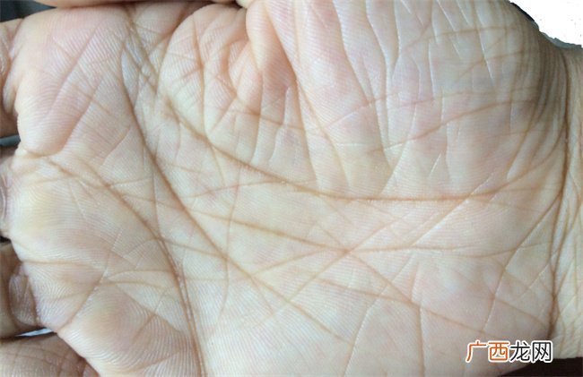 短命的人手相有何特征