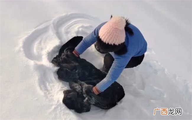 白色貂皮大衣怎么清洗保养，雪地里洗貂的正确方法