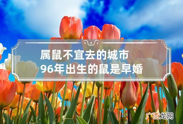 属鼠的人应该避免去哪些城市 属鼠不宜去的城市