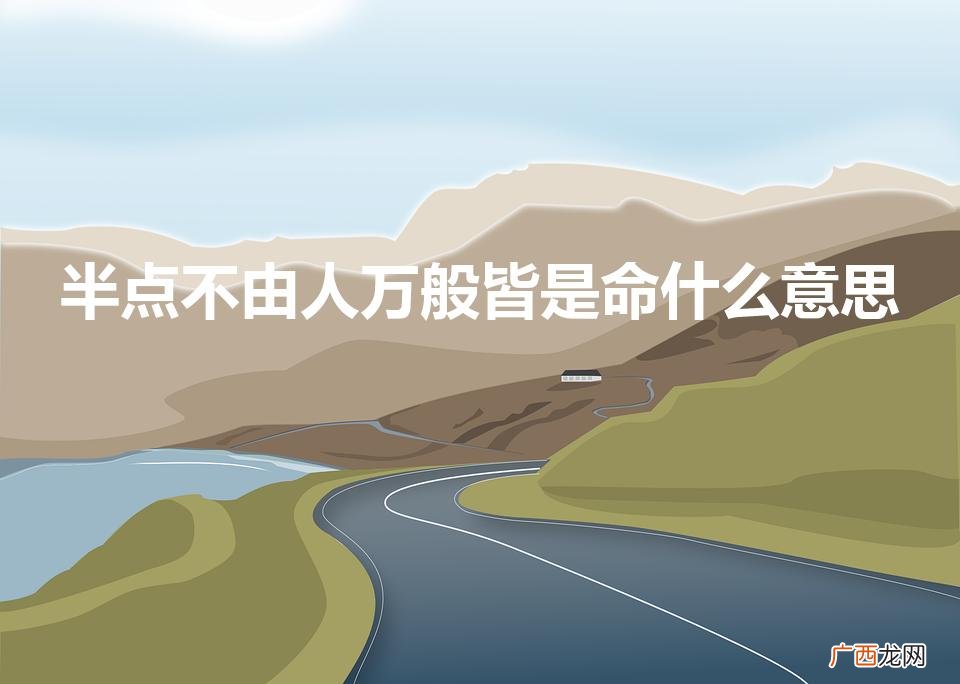 半点不由人万般皆是命什么意思出自哪里 半点不由人万般皆是命什么意思