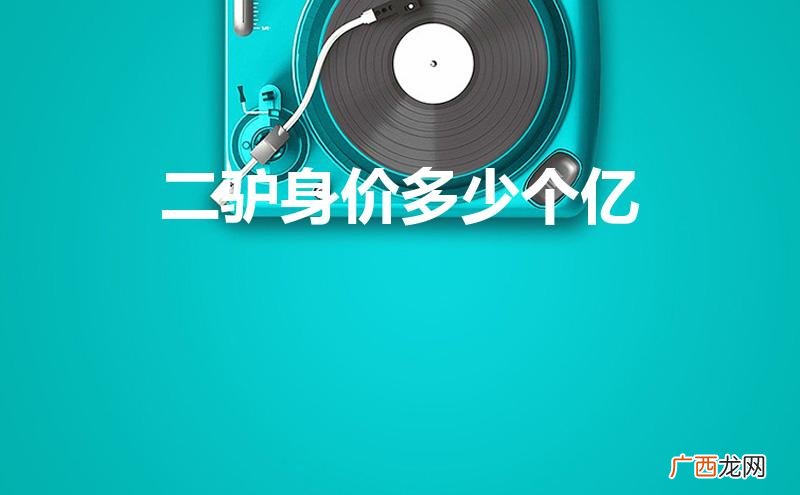 二驴身价多少个亿2023年 二驴身价多少个亿