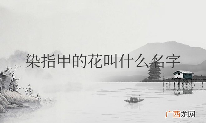 指甲花也就是凤仙花 可以染指甲的花叫什么名字