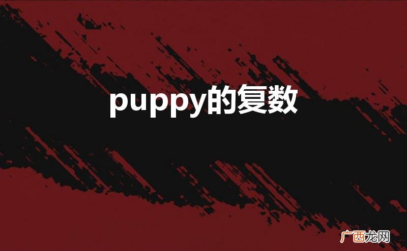 puppy的复数怎么写 puppy的复数