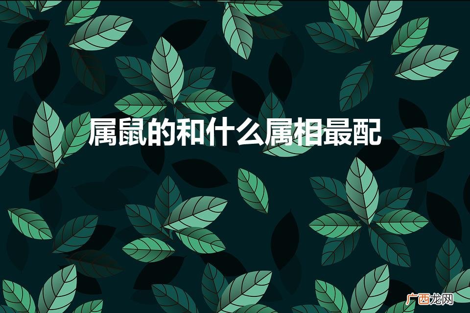 鼠配哪属相最佳? 属鼠的和什么属相最配
