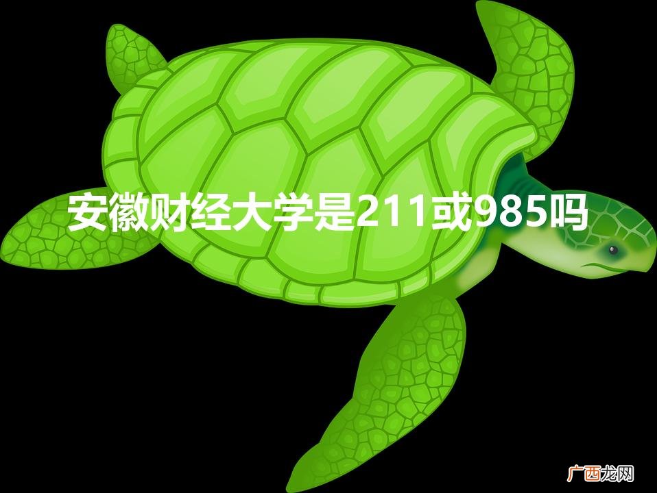 安徽财经大学值得上吗 安徽财经大学是211或985吗