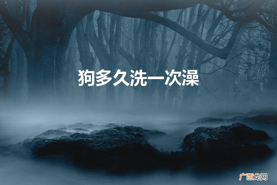 最好多少时间洗一次澡 狗多久洗一次澡
