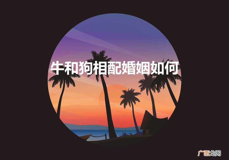 犬牛恋：爱情无界限 牛和狗相配婚姻如何