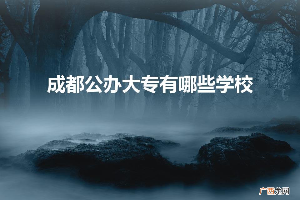 成都公办专科职业学校有哪些 成都公办大专有哪些学校