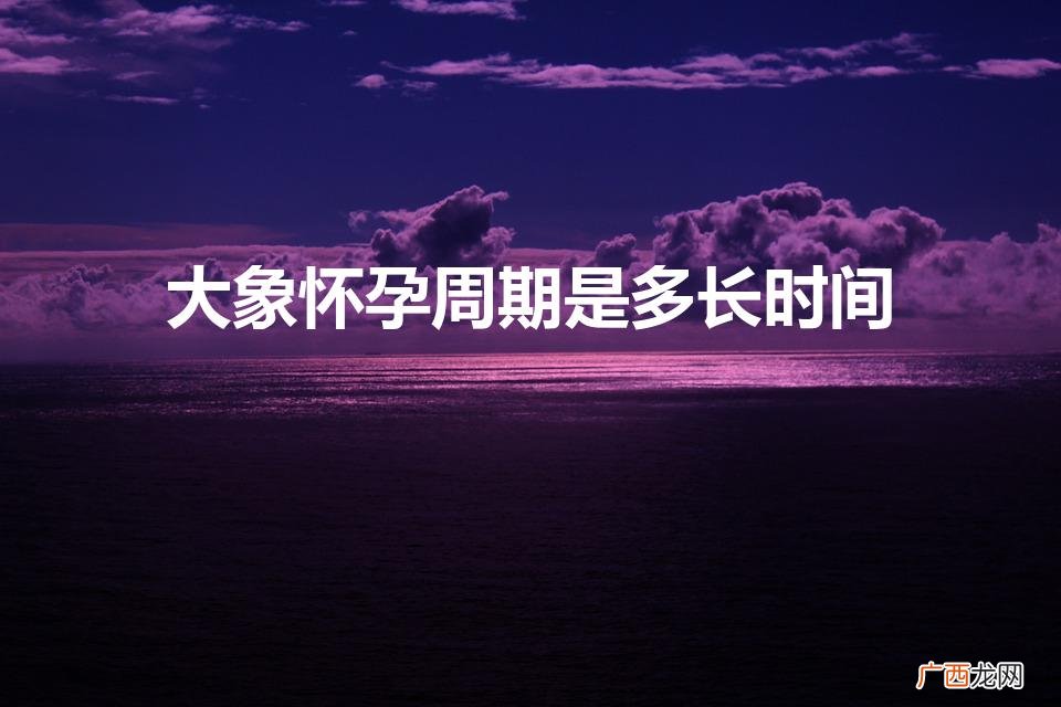 大象怀胎到生小象要多少时间 大象怀孕周期是多长时间
