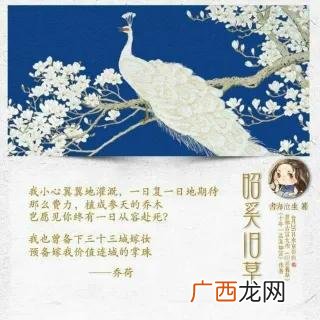 讲的是奚山君和扶苏的故事 昭奚旧草小说讲述的是什么内容