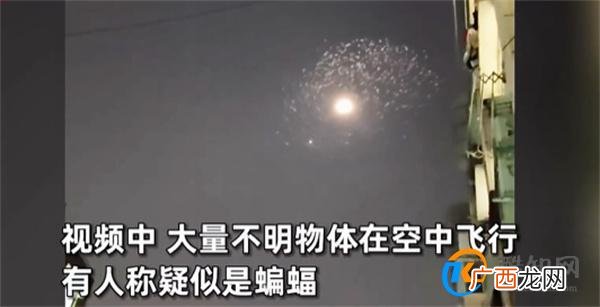 网友拍到不明发光物形若游龙 不明飞行物目击事件