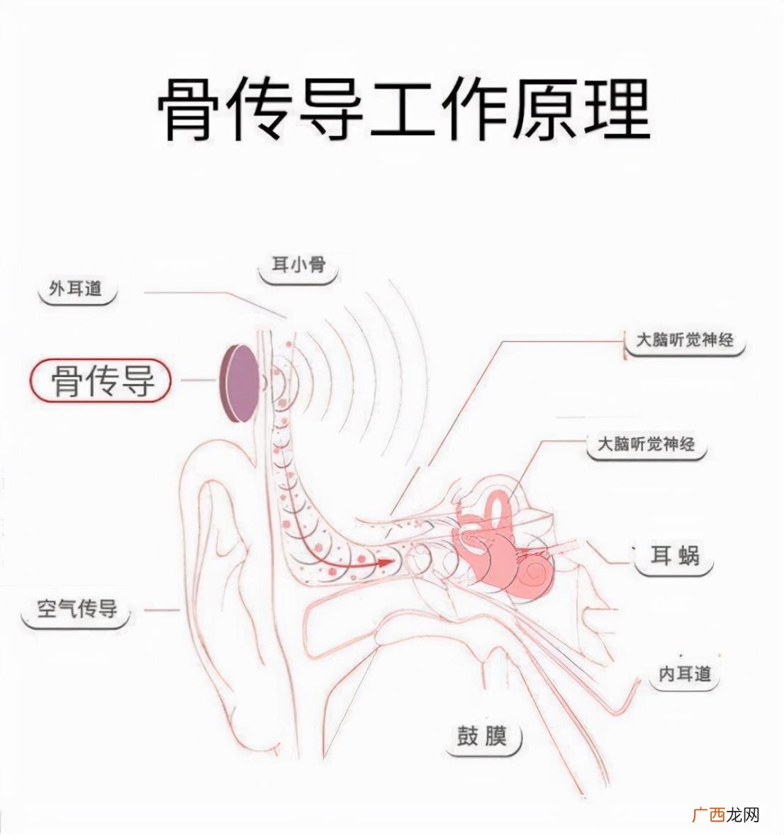 骨传导耳机的正确戴法讲解 骨传导耳机怎么戴舒服图解