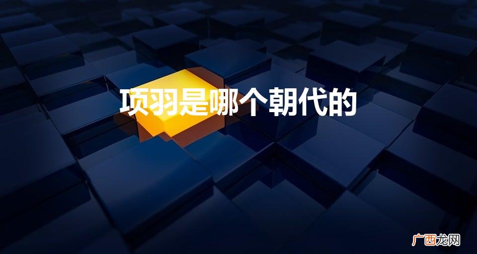 项羽所处朝代是什么 项羽是哪个朝代的