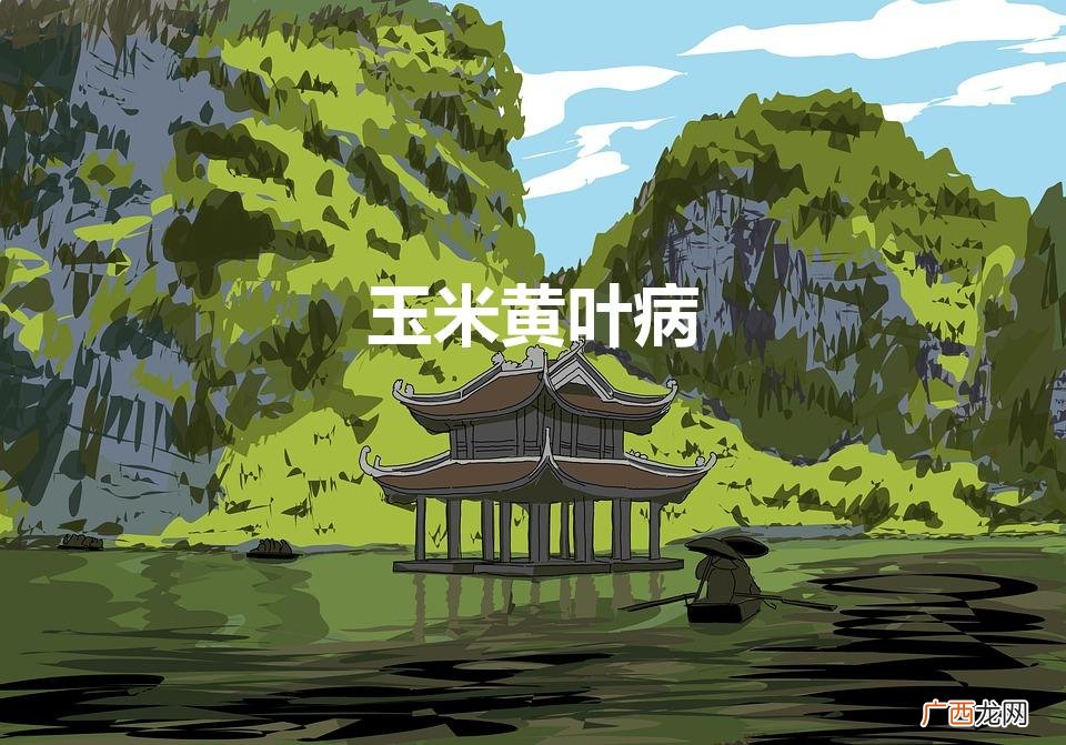 玉米黄叶病（玉米黄叶病是怎么回事)