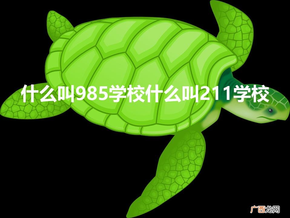 什么叫985学校什么叫211学校
