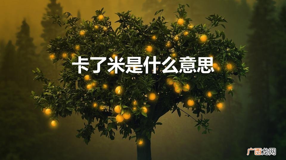 卡了米是什么梗 卡了米是什么意思