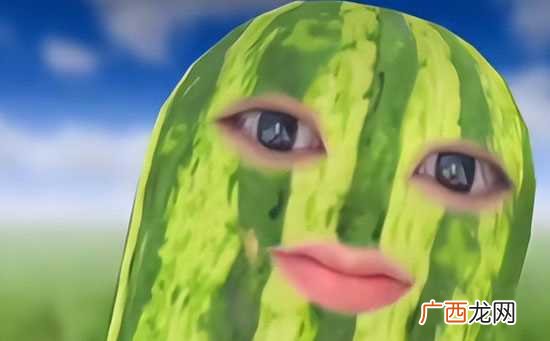 家人们谁懂啊