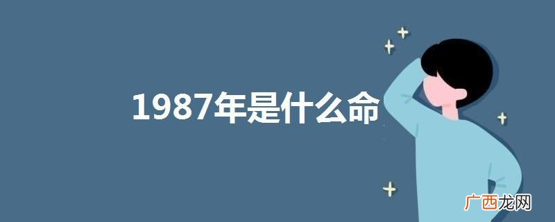 1987年是哪个生肖 1987年是什么命