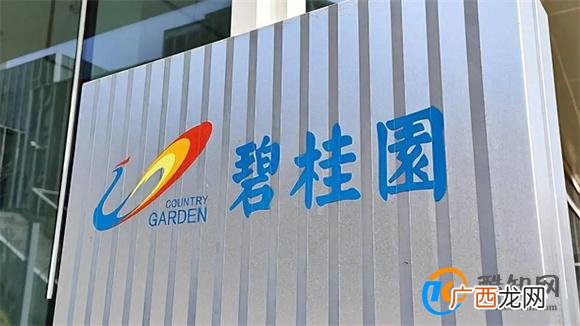 碧桂园被提出清盘呈请 清盘呈请的含义