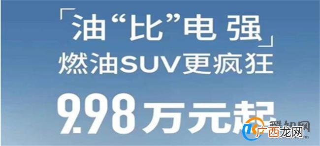 龙年车市价格战持续升温 车市价格战的背后原因
