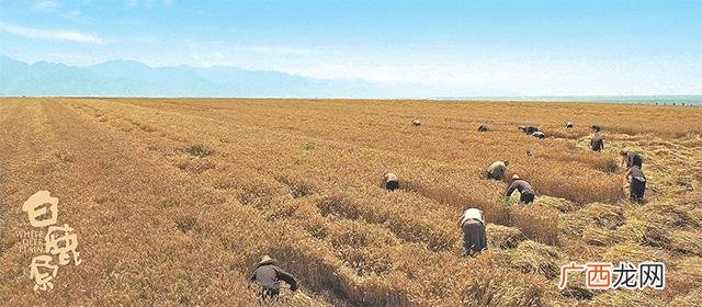 白鹿原讲的是哪个时代的事 白鹿原讲的是什么内容