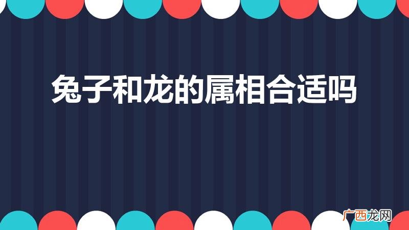 属兔和属龙相配吗 兔子和龙的属相合适吗