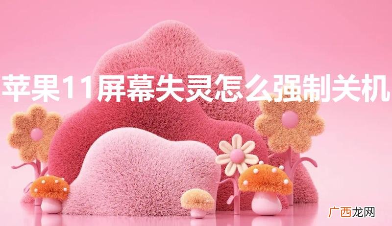 苹果11屏幕失灵怎么强制关机