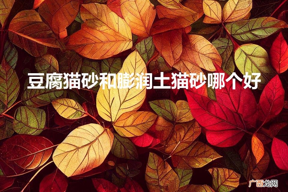 豆腐猫砂和膨润土猫砂哪个好（豆腐猫砂的优点和缺点)
