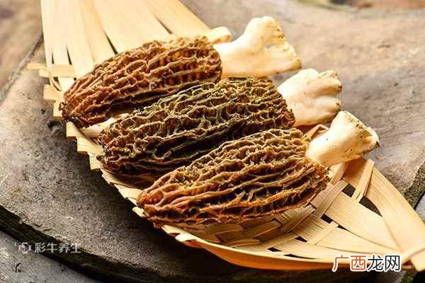 干羊肚菌泡发时间