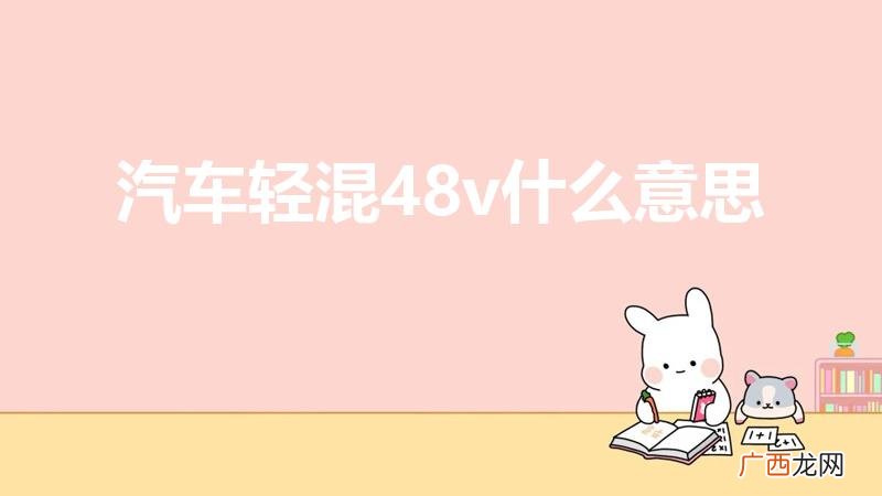 轻混48v什么意思 汽车轻混48v什么意思