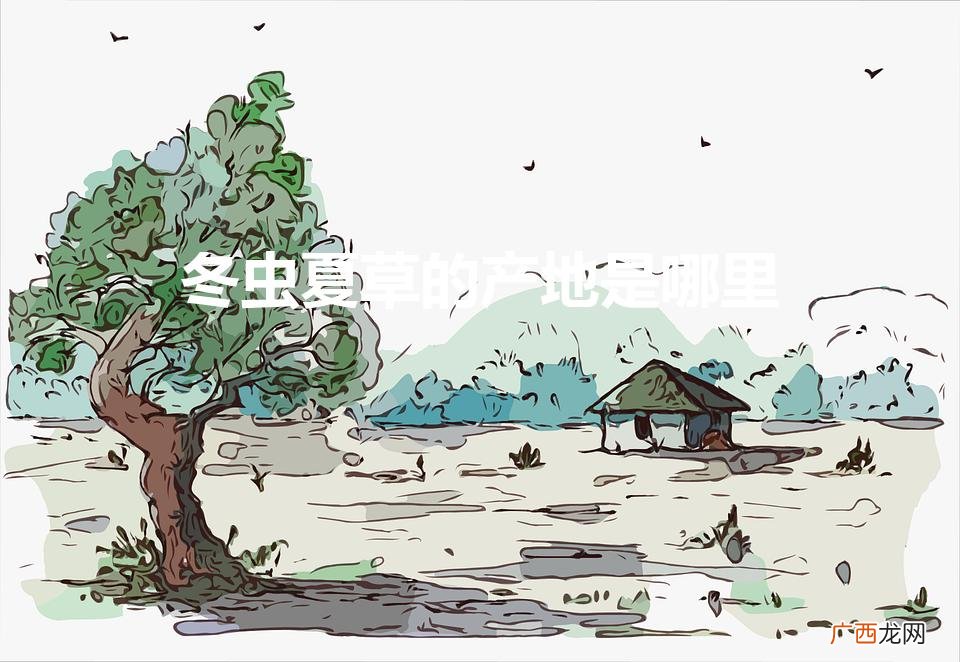 冬虫夏草的产地是哪里（冬虫夏草的主要产地是哪)