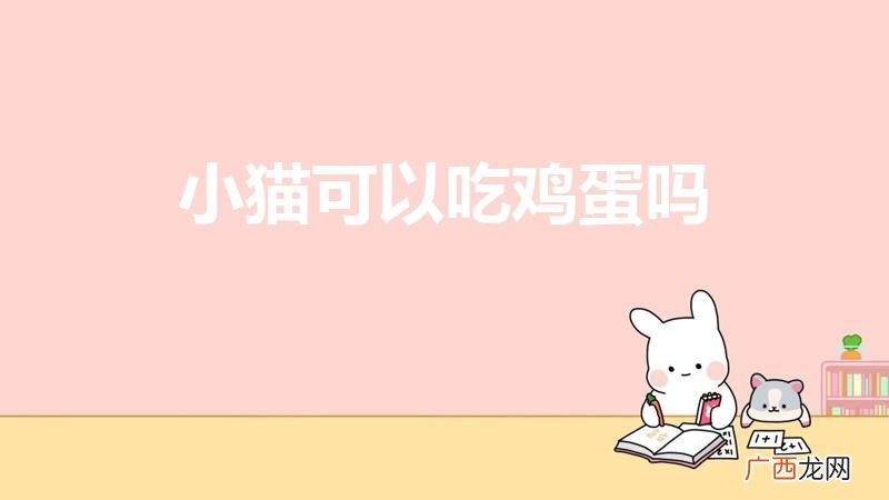 小猫能不能吃鸡蛋 小猫可以吃鸡蛋吗